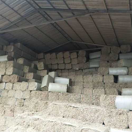 在農(nóng)村辦一個小型加工廠,加工什么好